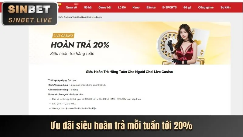 Cập nhật nhanh chóng